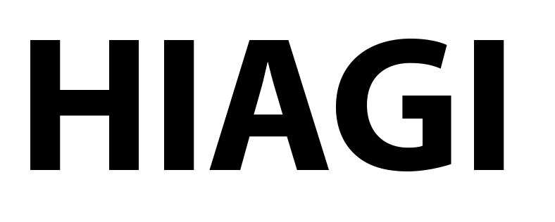 Hiagi solutions LLC